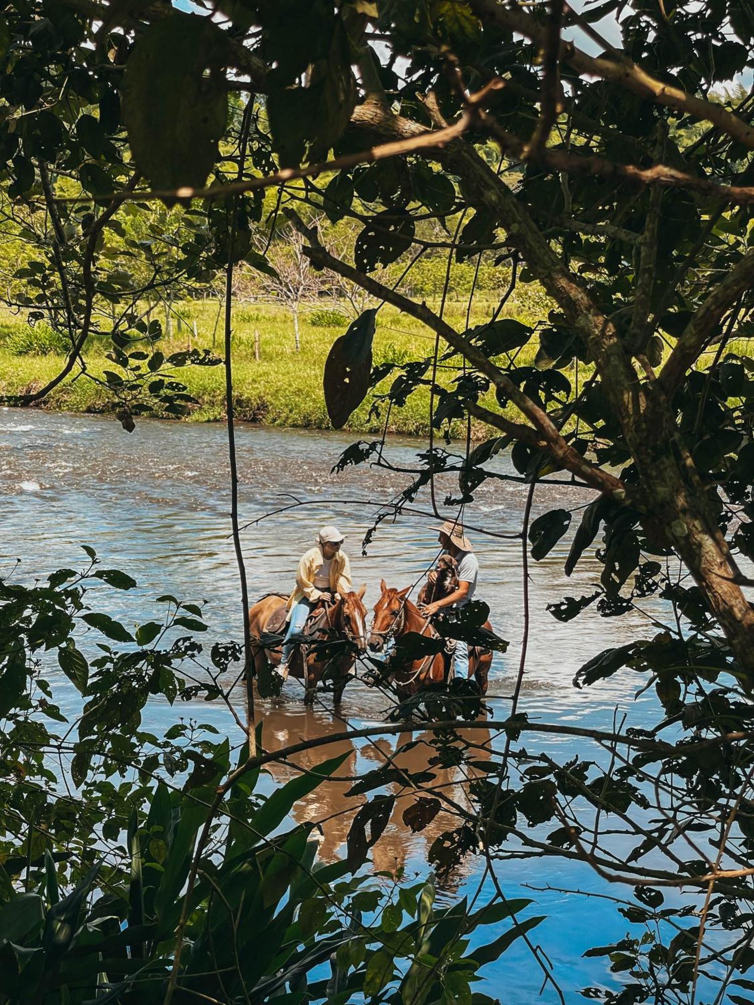 Glamping Entre Rios Ξενοδοχείο Calarcá Εξωτερικό φωτογραφία