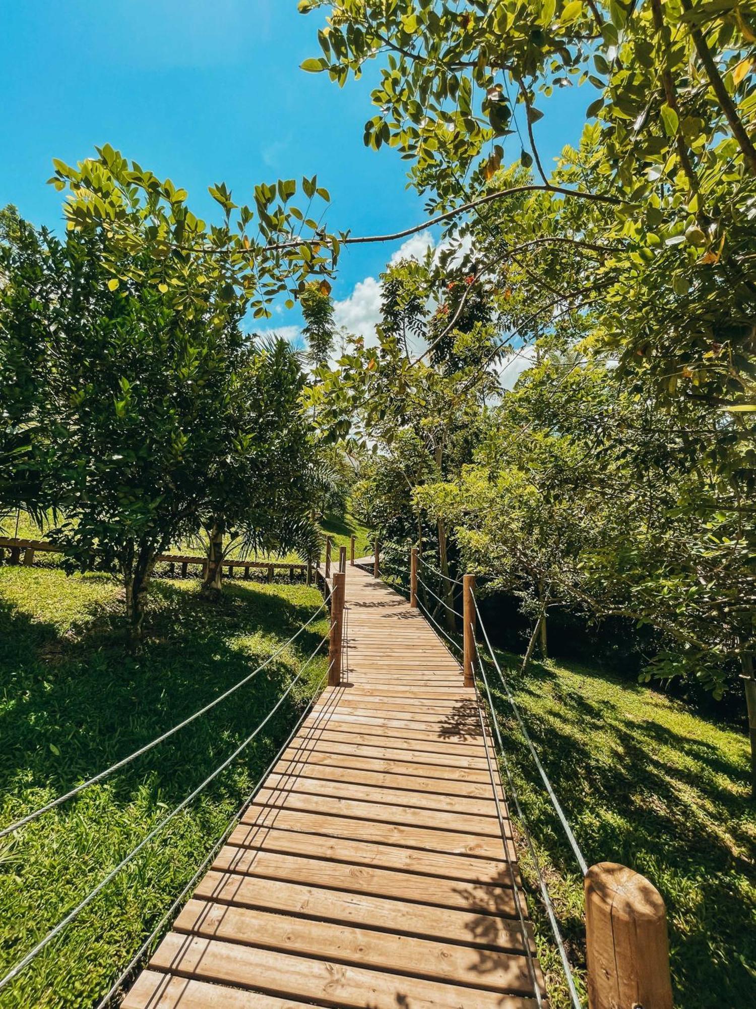 Glamping Entre Rios Ξενοδοχείο Calarcá Εξωτερικό φωτογραφία