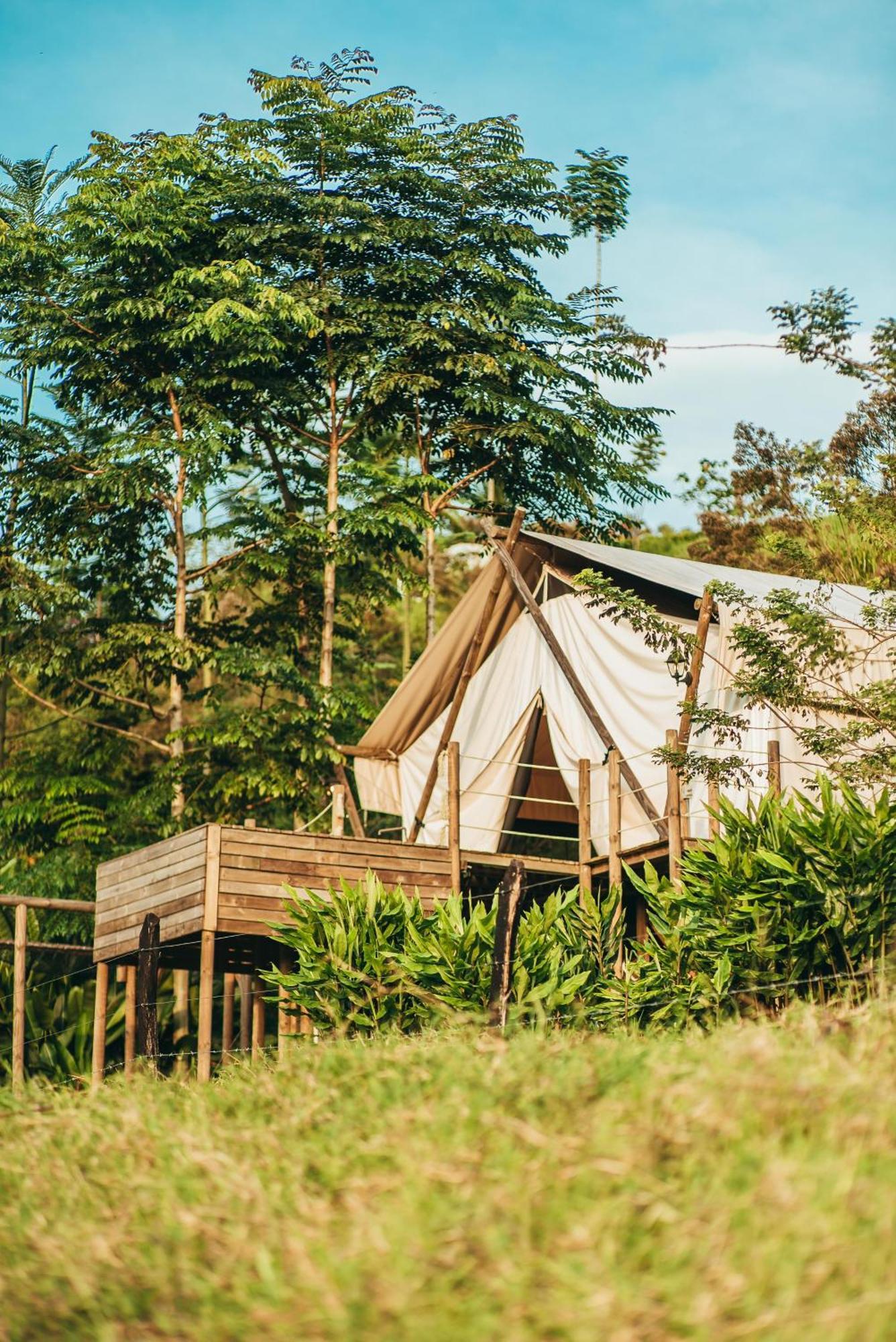 Glamping Entre Rios Ξενοδοχείο Calarcá Εξωτερικό φωτογραφία